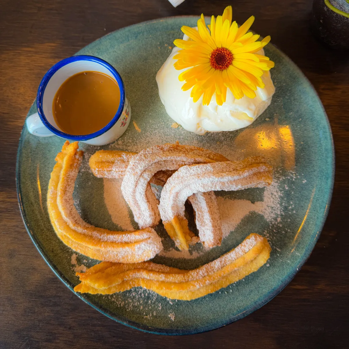 Banner 5
