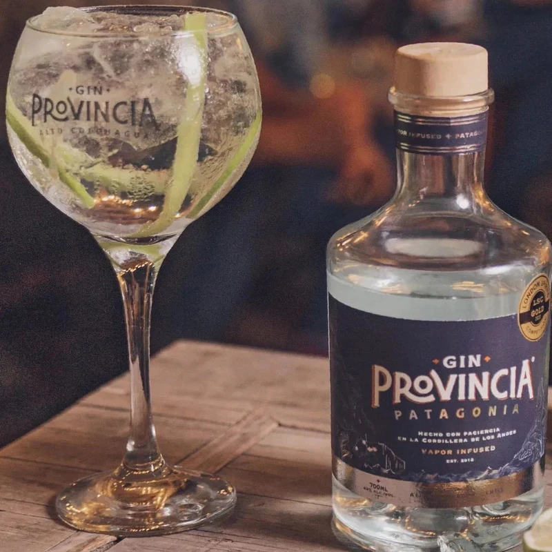 Gin provincia Patagonia