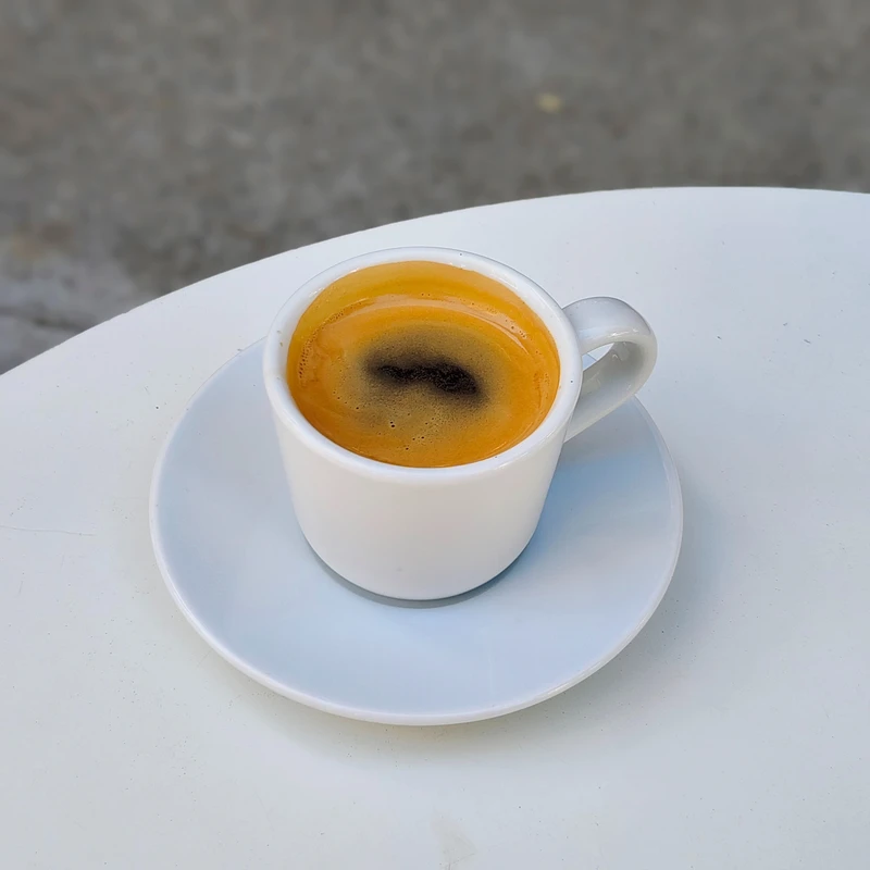 Lungo
