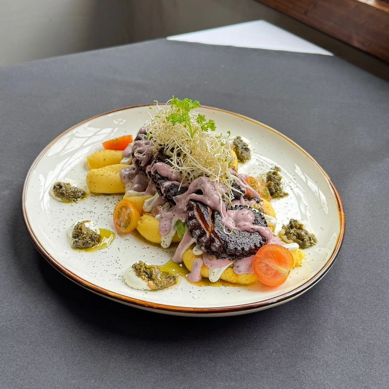 Pulpo entre Causas